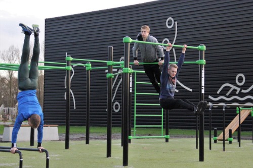 calisthenics park 