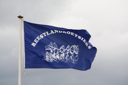 vlag reestlandkoetsiers