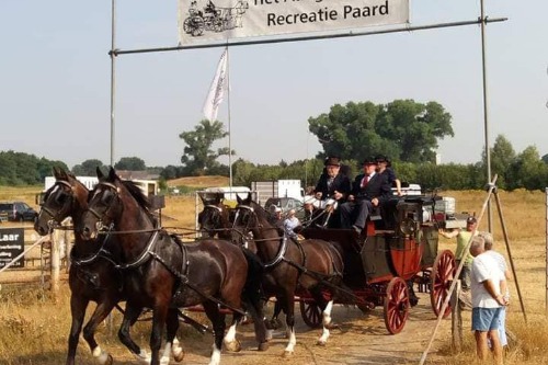 paarden en wagen