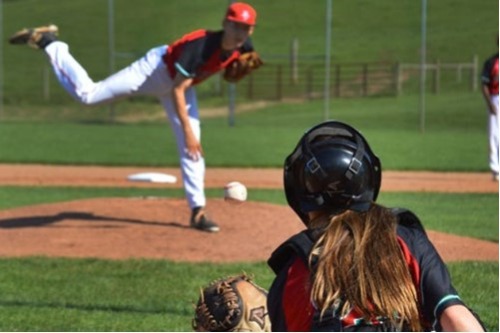 Cubs Hardenberg